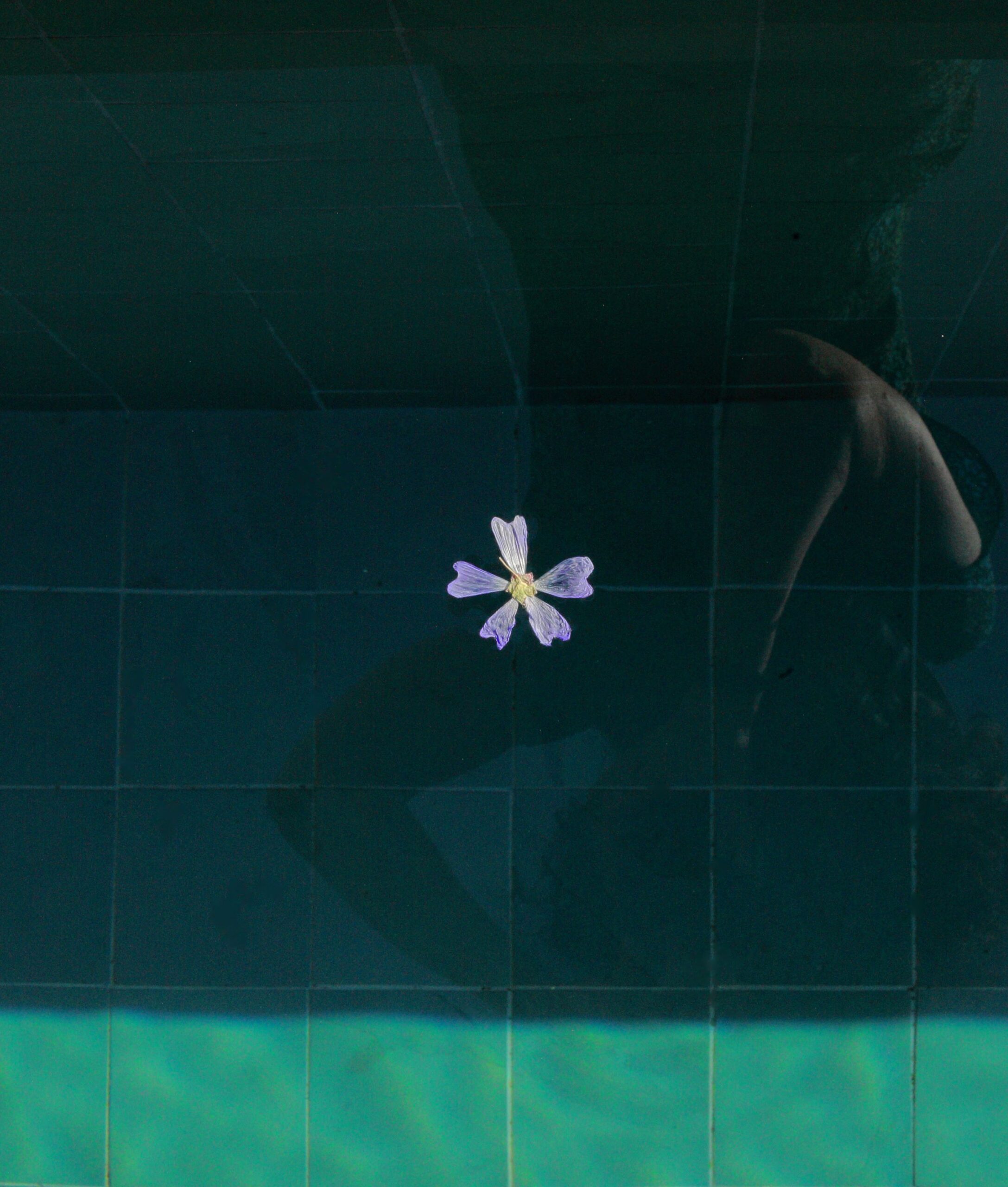 Piel bonita con extractos florales